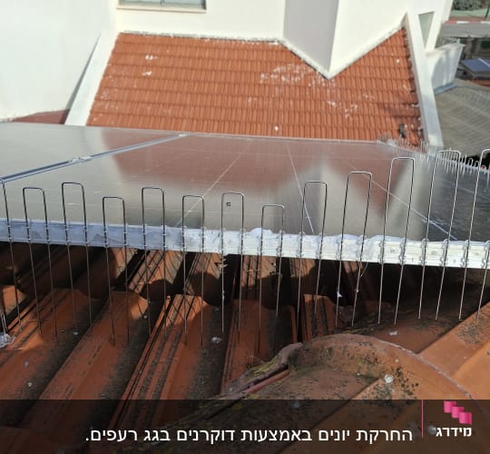 התקנת דוקרנים על גג רעפים למניעת יונים